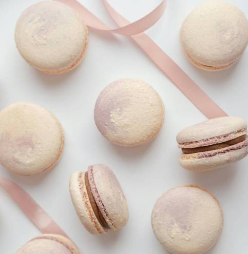 white and pink candy cane